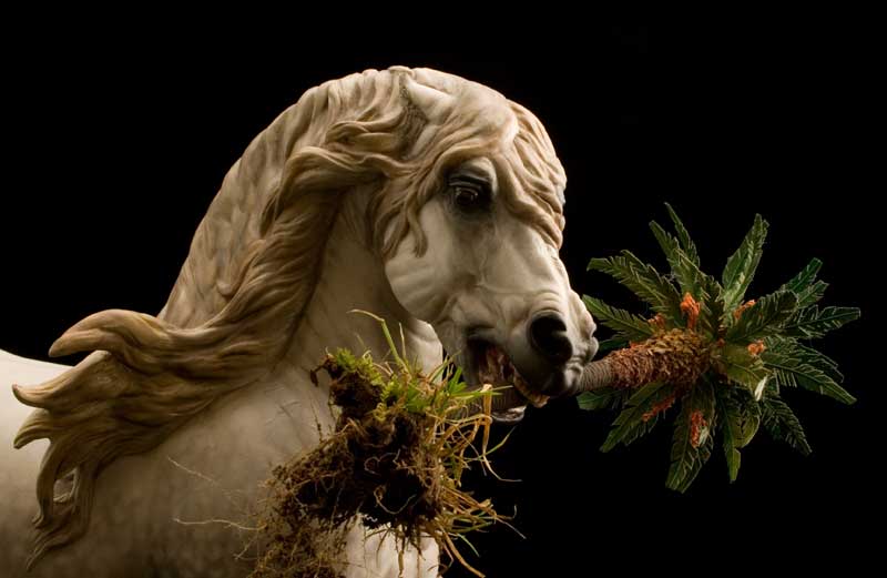 Annihilator Gallery - Equine Art By Debbi LerMond