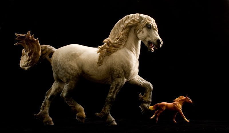 Annihilator Gallery - Equine Art By Debbi LerMond