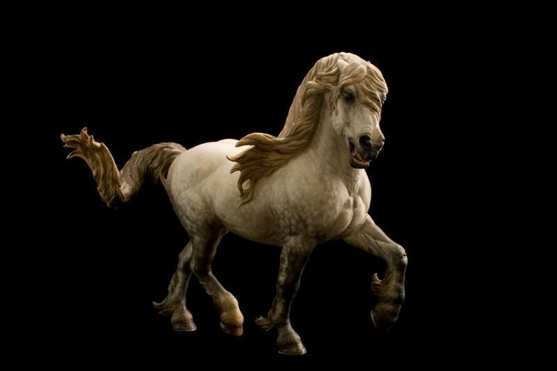 Annihilator Gallery - Equine Art By Debbi LerMond