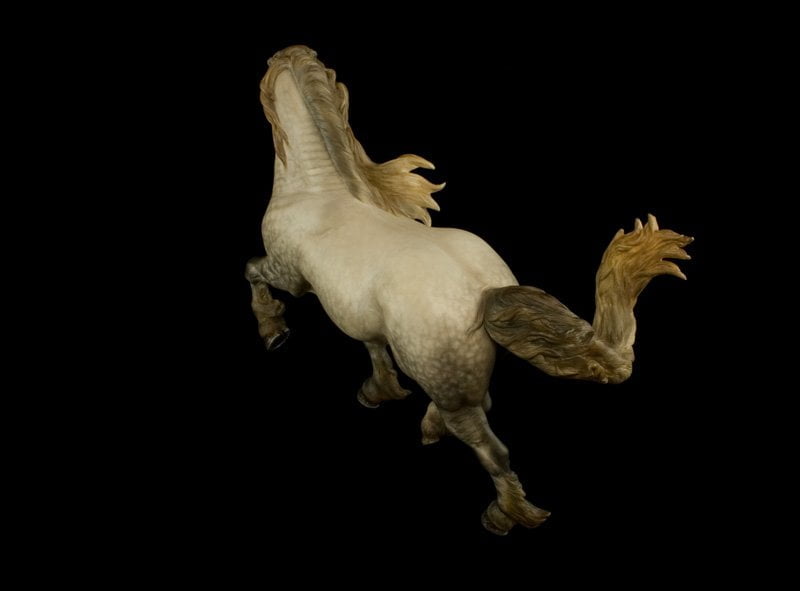 Annihilator Gallery - Equine Art By Debbi LerMond