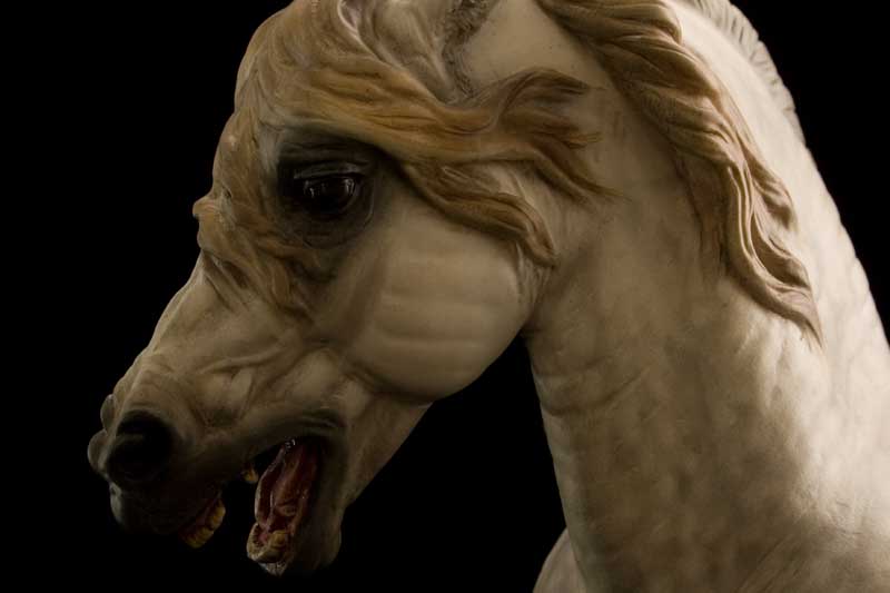 Annihilator Gallery - Equine Art By Debbi LerMond