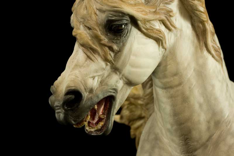 Annihilator Gallery - Equine Art By Debbi LerMond